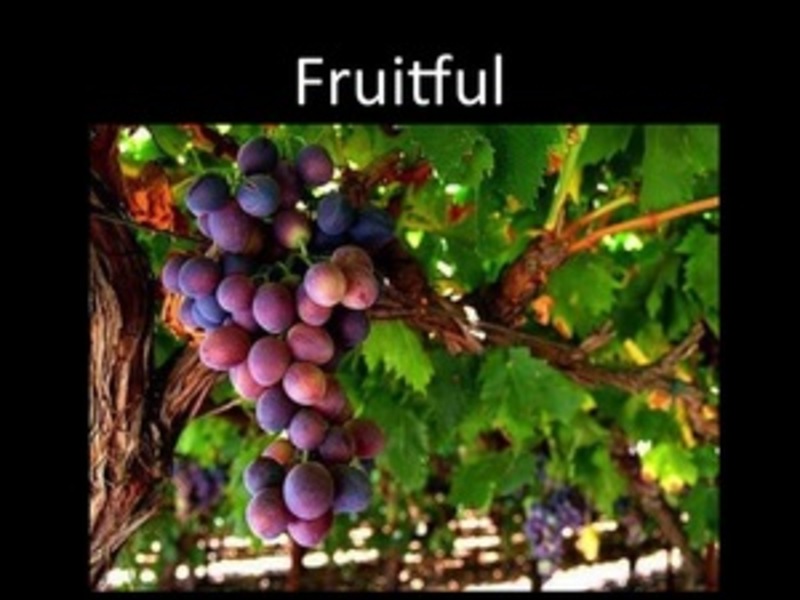 Abiding in Christ