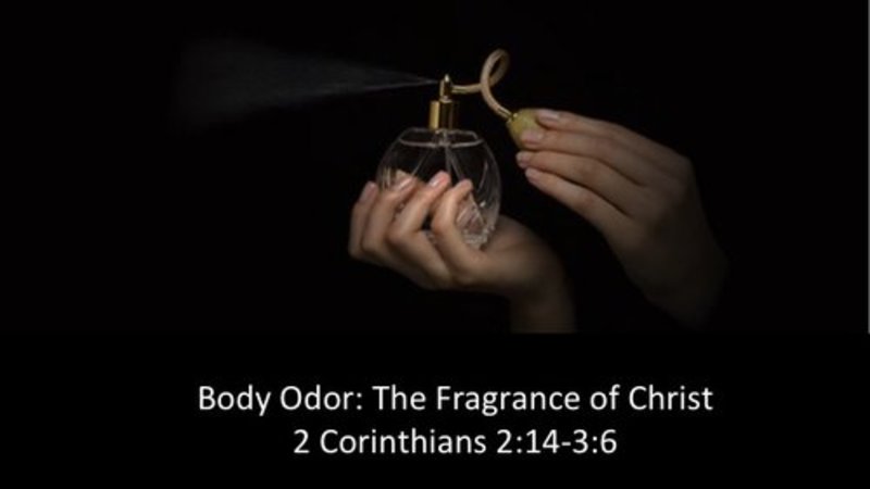 Body Odour - The Fragrance of Christ