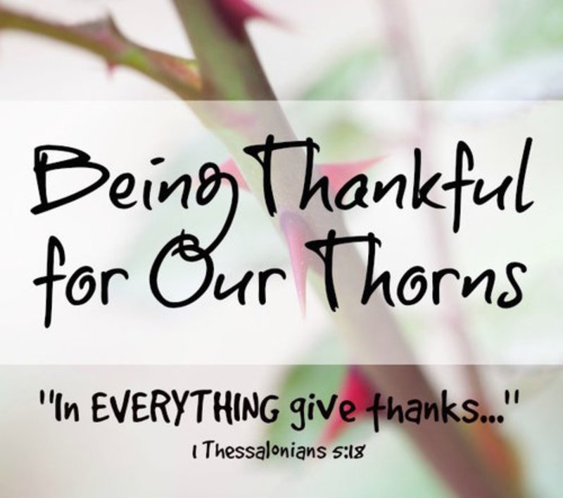 Being Thankful for our thorns